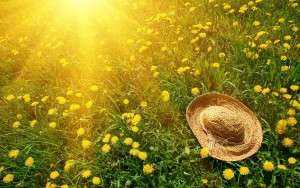 summer-hat