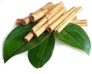 cinamono lapu eterinis aliejus
